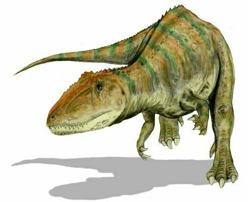 An artists reconstruction of Carcharodontosaurus.  By Nobu Tamura